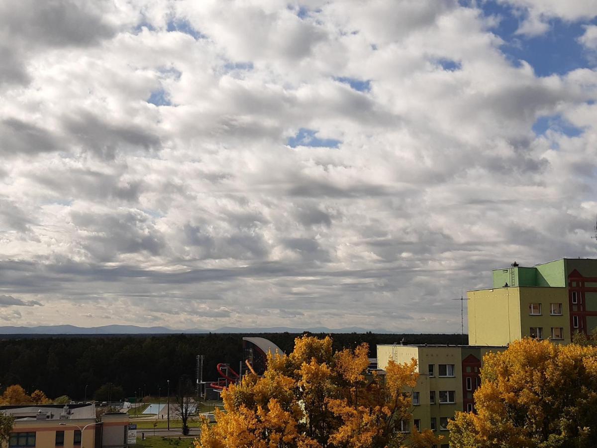 Green View Apartment Tychy Esterno foto
